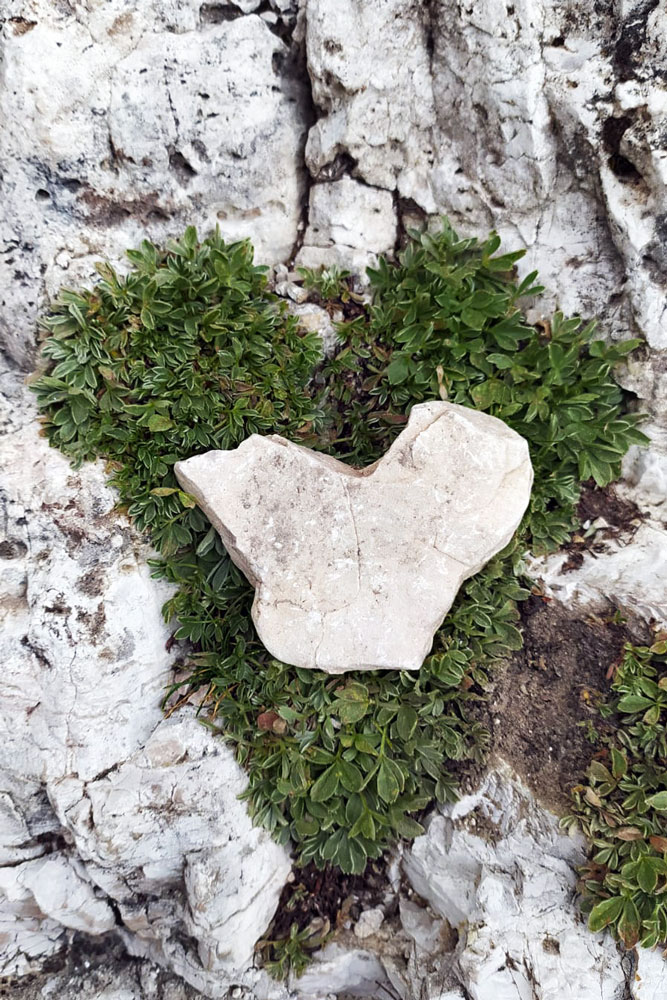 Manuela-Flaskamp-Naturcoaching-05
